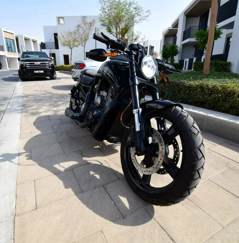 Harley Davidson VROD MUSCLE