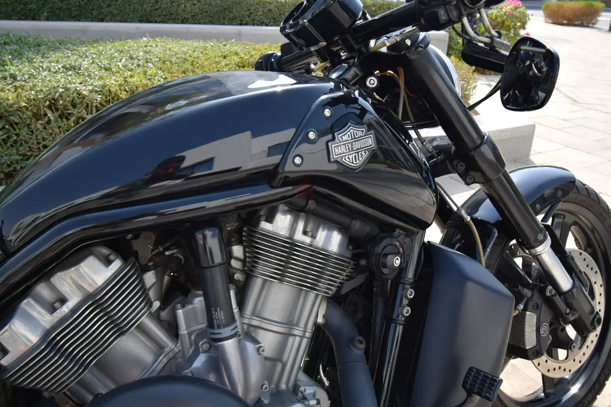 Harley Davidson VROD MUSCLE photo 4